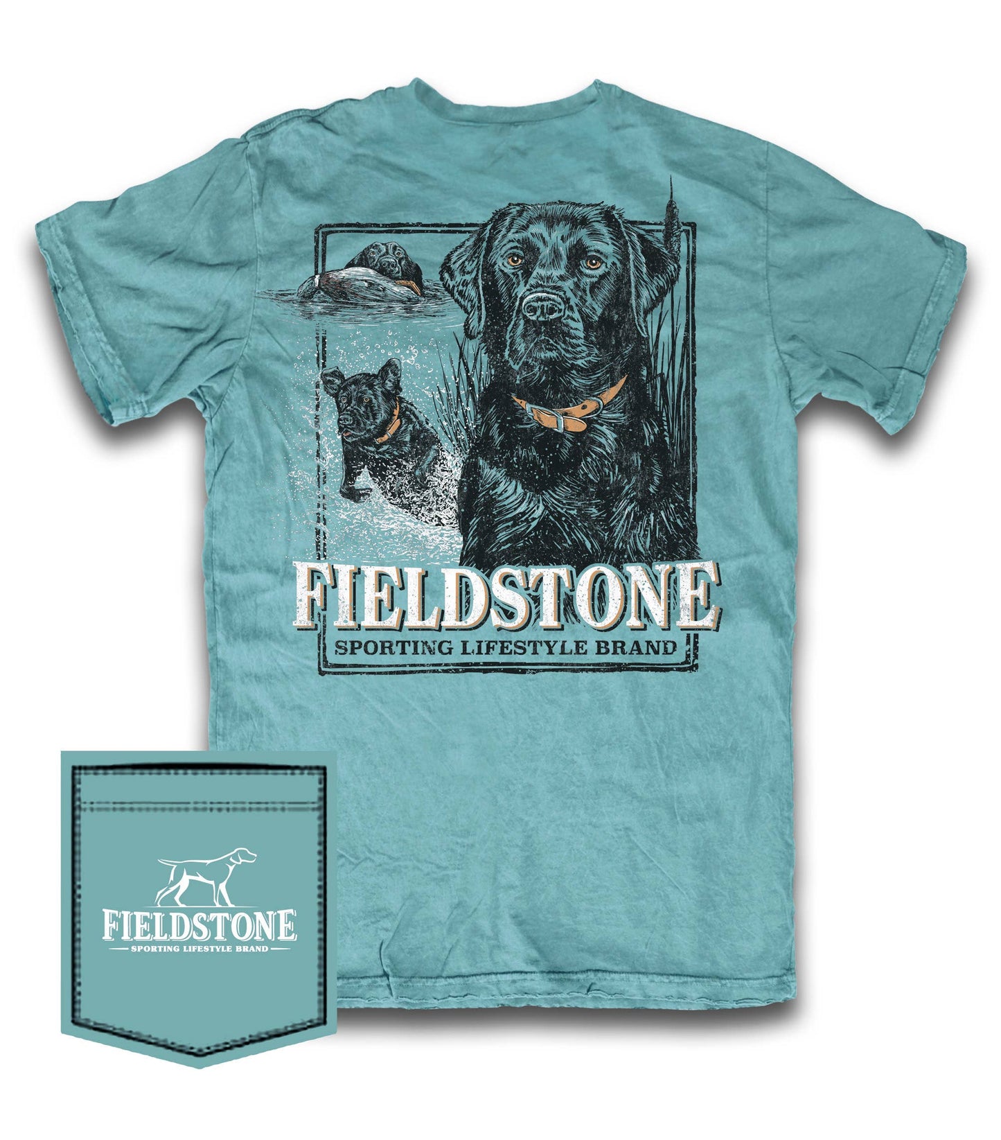 Black Lab Portrait (976)