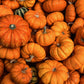 16 oz Butter Jar Candle: Hey, Pumpkin!
