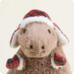 Cozy Capybara Warmies