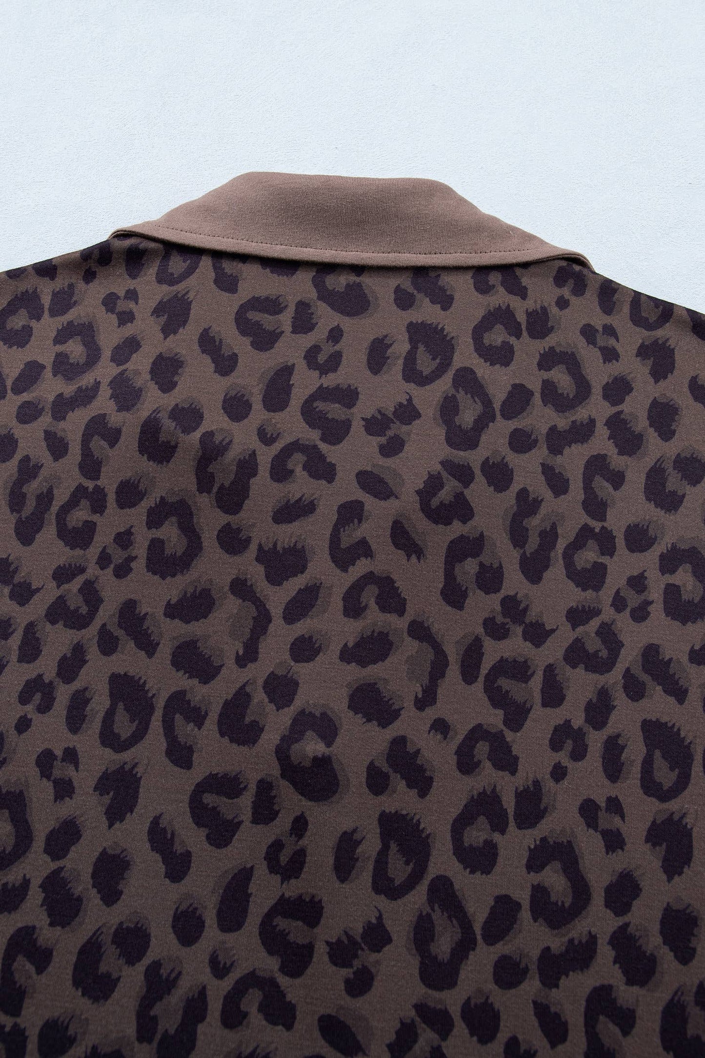V Neck Collar Leopard Print Top and Shorts 2pcs Set