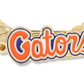 The Florida Gators Script Bangle Bracelet