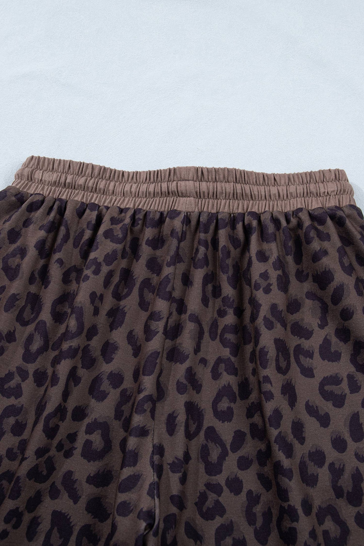 V Neck Collar Leopard Print Top and Shorts 2pcs Set