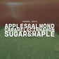 5.5 oz Wax Melts: Caramel Apple