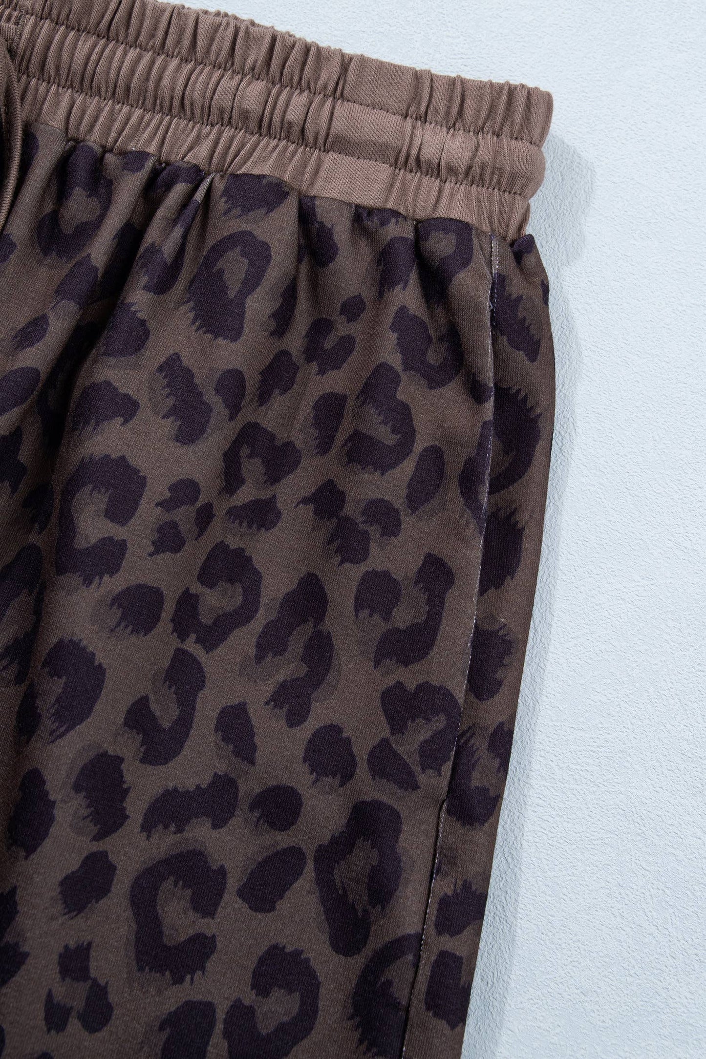 V Neck Collar Leopard Print Top and Shorts 2pcs Set