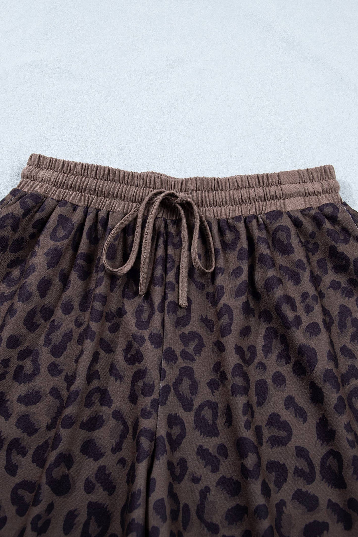 V Neck Collar Leopard Print Top and Shorts 2pcs Set