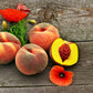 26 oz Farmhouse Jar Candle: Peaches & Poppies