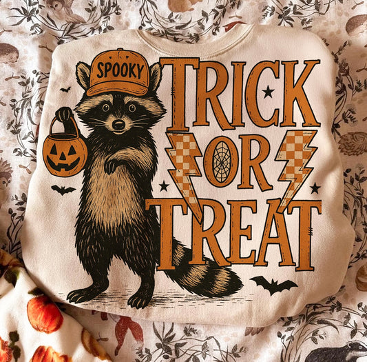 Trick or Treat raccoon
