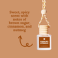 Car Diffusers | Fall Scents